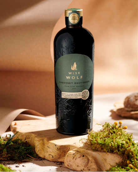 Wise Wolf