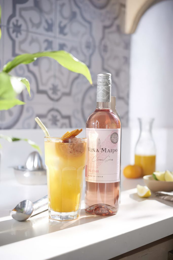 Viña Maipo Recipies