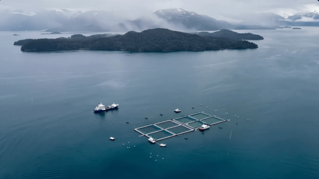 Smoked in Perfect Time