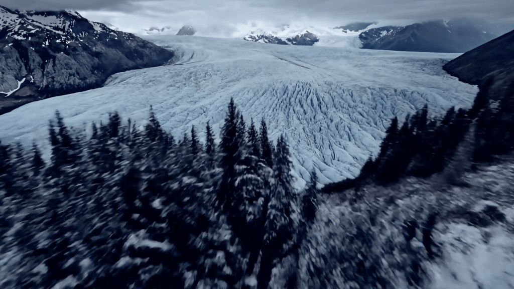 Nature Meets the Kitchen